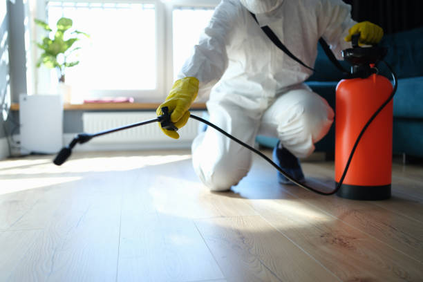 Reliable Biohazard Cleanup contractor in Allendale, CA by Trauma Clean Pros